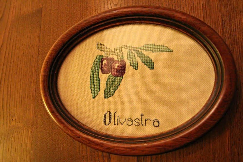 Ulivo Rosso Bed and Breakfast Sesto Fiorentino Exteriör bild