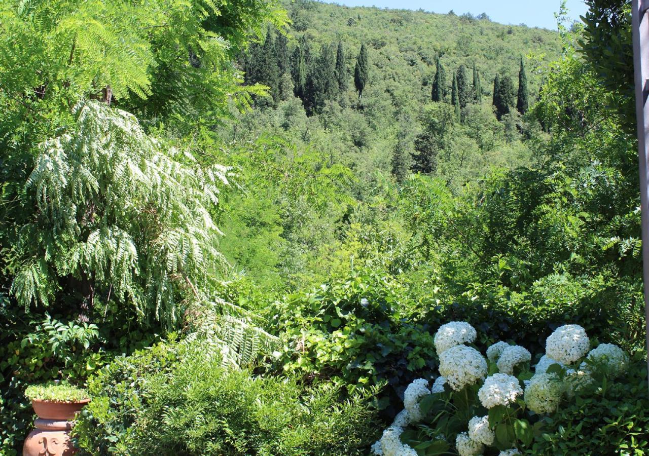 Ulivo Rosso Bed and Breakfast Sesto Fiorentino Exteriör bild