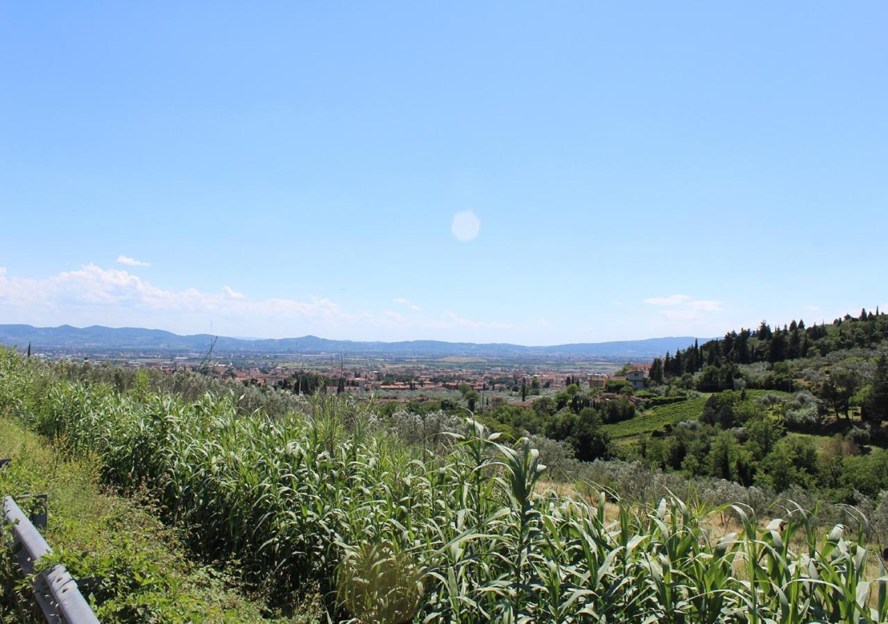 Ulivo Rosso Bed and Breakfast Sesto Fiorentino Exteriör bild